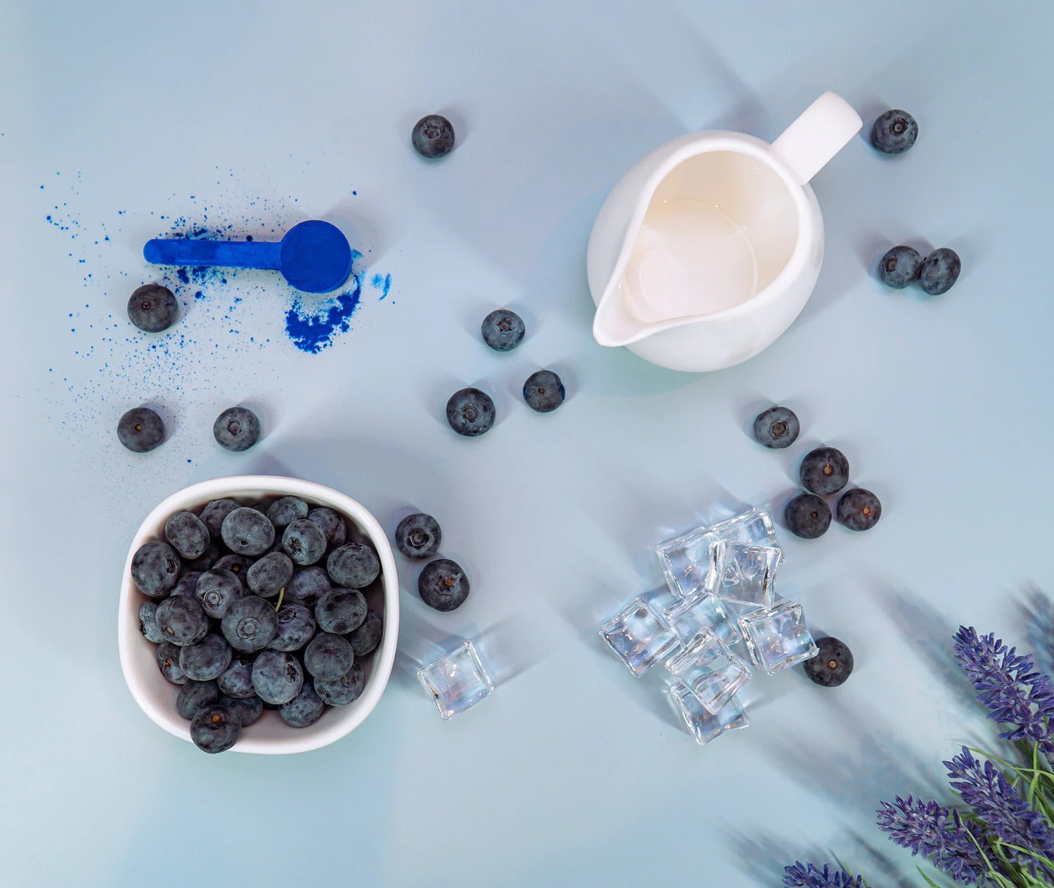 Blueberry Power Smoothie - TheBlenditStore
